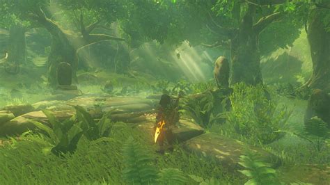Korok Forest .